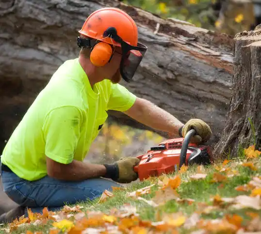 tree services Martin Lake